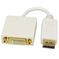 Display Port Male to DVI Female Adapter